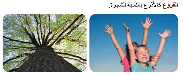 You and a Tree Arabic